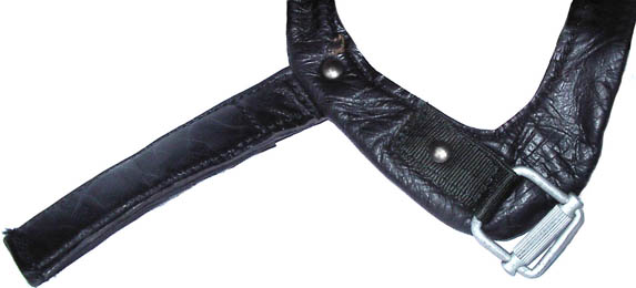 Extérieur de la jugulaire droite.