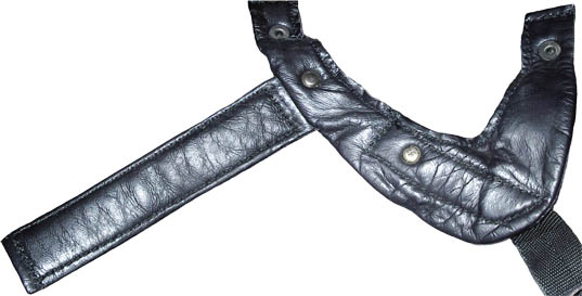 Intérieur de la jugulaire gauche.