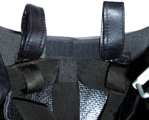 Ganses de support de la sangle postcrânienne.