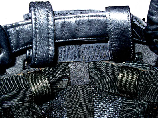 Sangle postcrânienne en place.