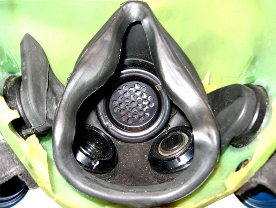 Système respiratoire proprement dit.