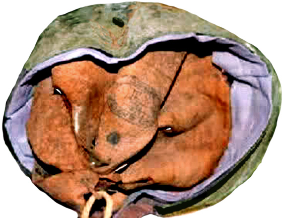 Vue de dessous. Vue de dessous.