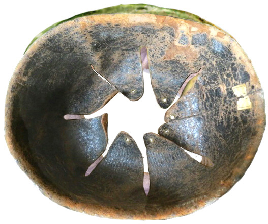 Vue de dessus. Vue de dessus.