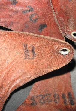 Taille de la bombe et matricule.