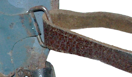 Jugulaire coté libre.