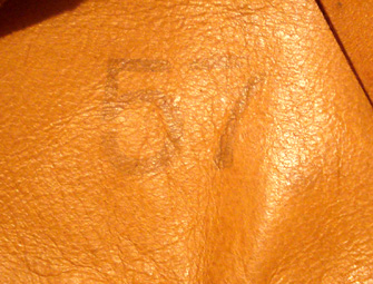 Marquage sur l'endroit.