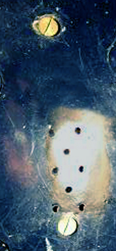 Vis de cimier. Vis de cimier.