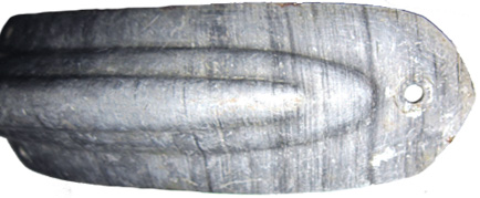 Partie arrière, exemplaire à pointe ogivale.