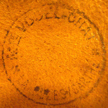 Vogel-Chat Le Mêle sur Sarthe.