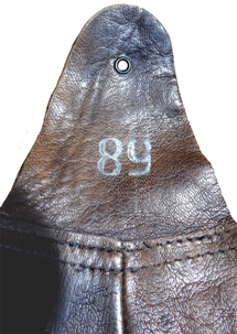 Avers d'une dent. Avers d'une dent.