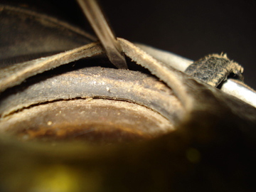 Vue du bourrelet de la rondelle extérieure. Vue du bourrelet de la rondelle extérieure.