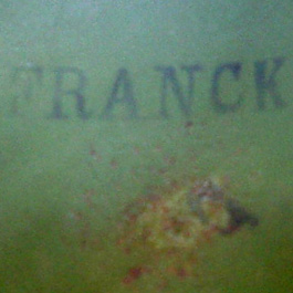 Coque FRANCK, taille C.