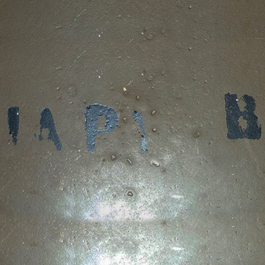 Coque JAPY, taille B.