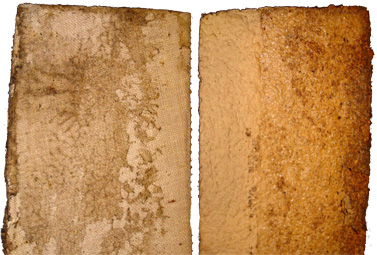 Bande de caoutchouc alvéolé, coté toile et coté peau. Bande de caoutchouc alvéolé, coté toile et coté peau.