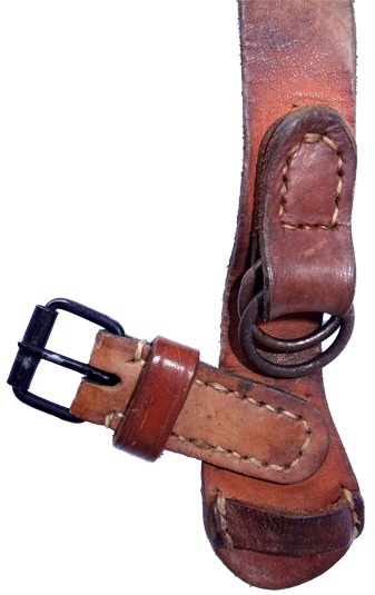 Demi-jugulaire droite. Demi-jugulaire droite.