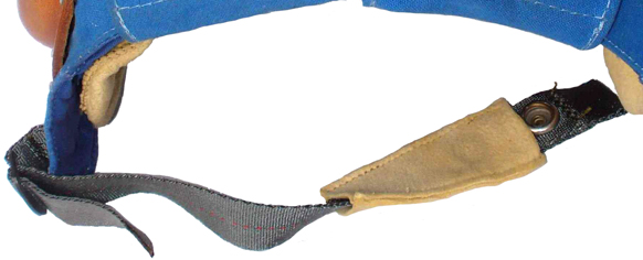 Jugulaire vue de dessus.