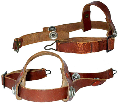 Jugulaire, recto verso. Jugulaire, recto verso.