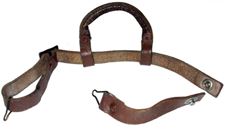 Vue d'ensemble jugulaire-mentonnière, verso. Vue d'ensemble jugulaire-mentonnière, verso.