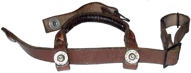 Vue d'ensemble jugulaire-mentonnière, recto. Vue d'ensemble jugulaire-mentonnière, recto.