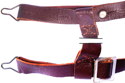 Parties latérales de la jugulaire. Parties latérales de la jugulaire.