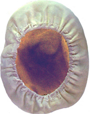 Bonnette de protection.