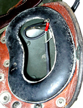 Vue intérieure et cosses.