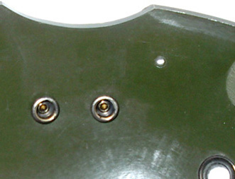 Absence de têton de jugulaire.