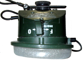 Coquille droite, vue de dessus.