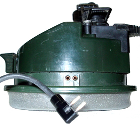 Coquille droite, vue arrière.