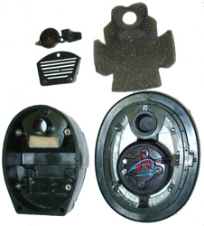 Vue intérieure de la coquille.