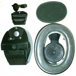 Vue extérieure de la coquille.