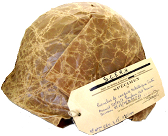 Spécimen déposé par Dunois en 1969.