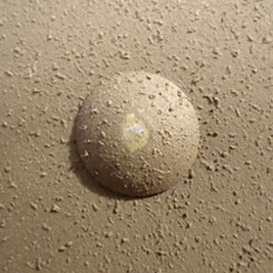 Sous-casque granité - FRANCK 1953.