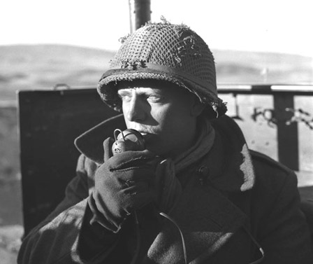 Filet crevette en AFN.