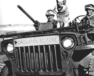 Circulation routière, 5ème DB.