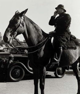 La police montée de la PP.