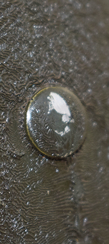 Tête de rivet. Tête de rivet.