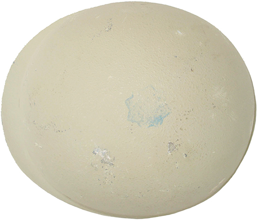 Vue de dessus. Vue de dessus.