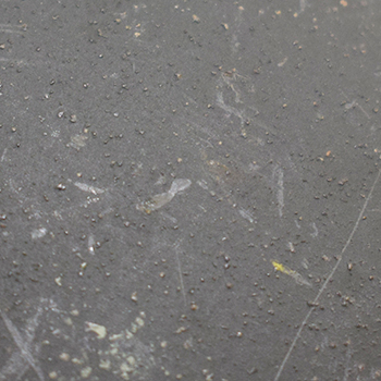 Peinture texturée. Peinture texturée.