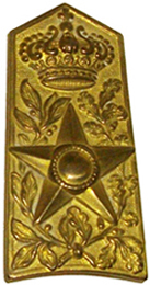 Insigne métallique modèle 28. Insigne métallique modèle 28.