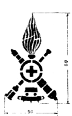 Bataillon de char d'assault, division motoris&eacute;e.