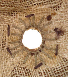 Event sommital - intérieur.