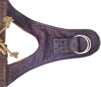 Partie gauche avec boucles de fixation.