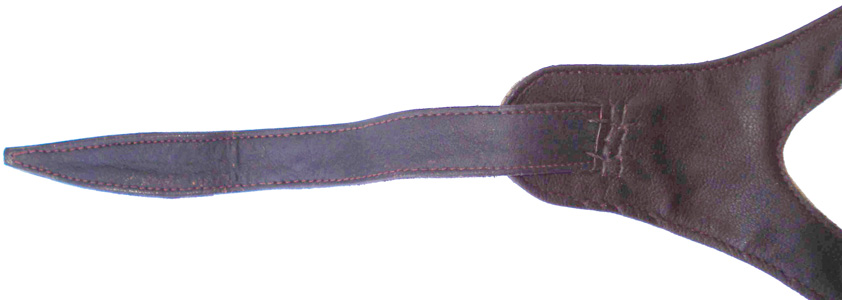 Partie longue de la jugulaire.