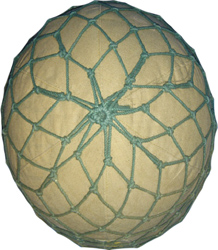 Couvre-casque premier type de la marine avec gros filet de couleur vert. Couvre-casque premier type de la marine avec gros filet de couleur vert.