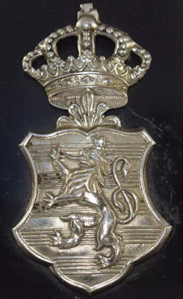 Insigne argenté gendarmerie.