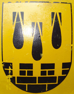 Insigne (variante plus carrée). Insigne (variante plus carrée).