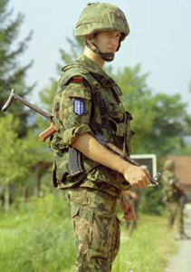 Casque Wz 93. Casque Wz 93.