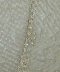 Peinture extérieure.