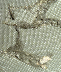 Fibre de kevlar - intérieur.